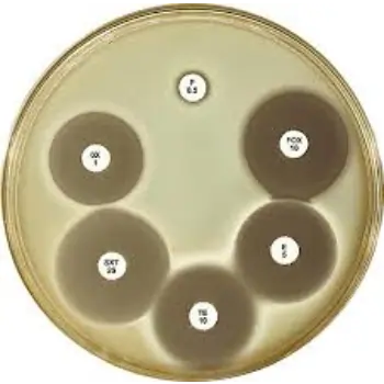 Antibiotic-Potency-Assays-in-Microbiology