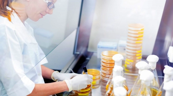 Residual Solvents Analysis