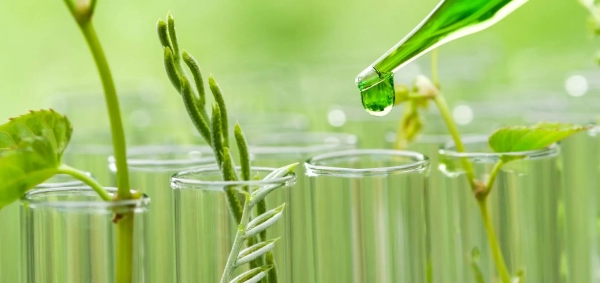 Sterility-Testing-Chromak-Research-600x333